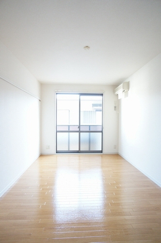 セルリアン 203号-3