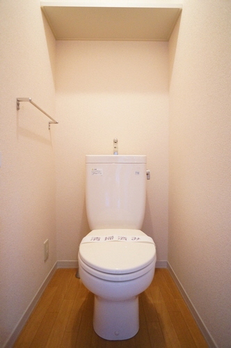 セルリアン 203号-6