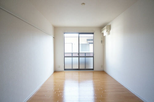 セルリアン 203号-8