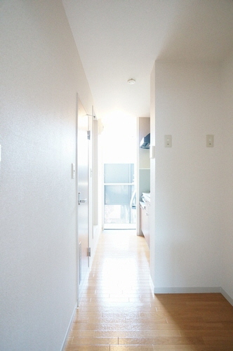 セルリアン 203号-10