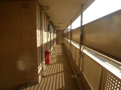 オアシス谷津 301号-11