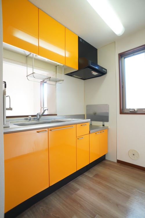 アピア泉・Ⅱ 205号-3