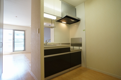 メゾン・ド・アイ 102号-2