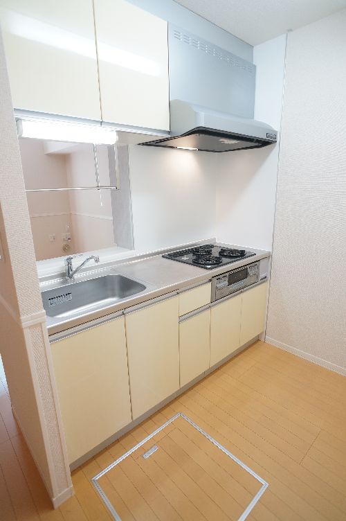 サザンヒルズ　シトラス 102号-4