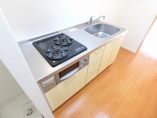 ラフォーレ市川 203号-6