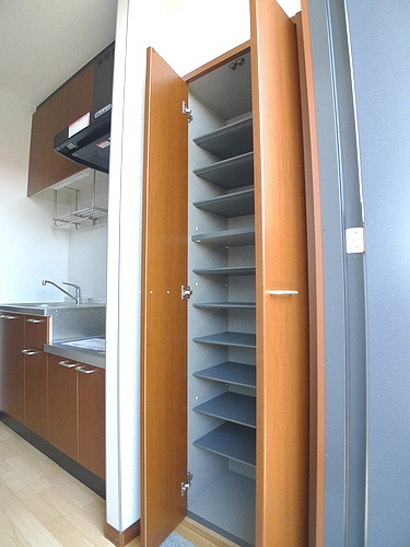 クリサンテ 201号-11