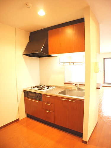 メゾンドール松戸 306号-6