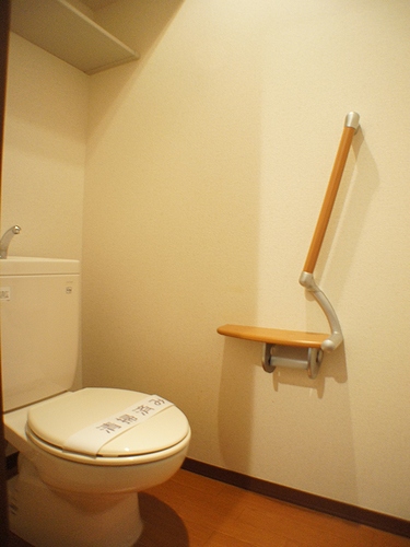 メゾンドール松戸 306号-9