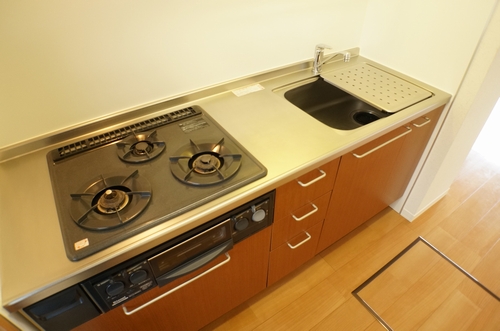 コーラルリーフⅡ 204号-11