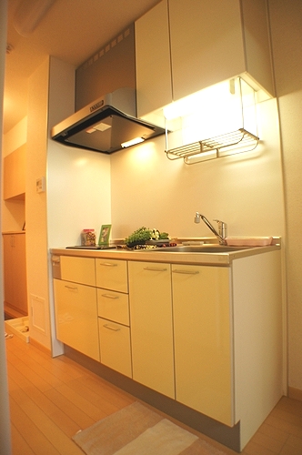 ストリームコート 202号-9