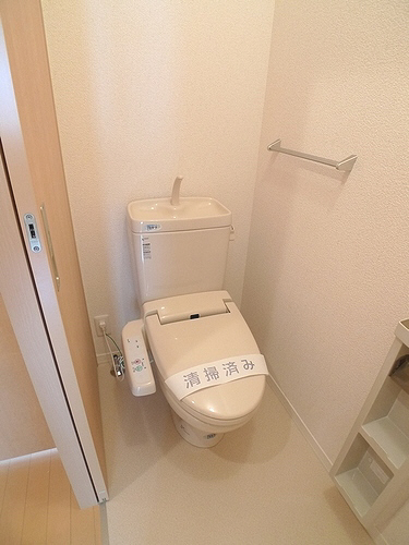 ＮＳドミール 201号-7