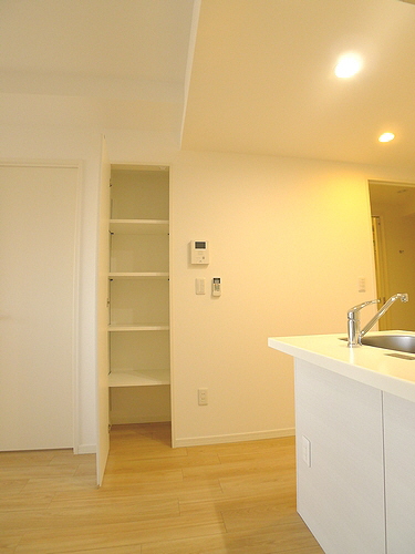 ルシエル 502号-11