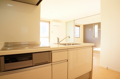 フェリシード 101号-8