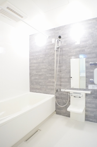 フェリシード 102号-7