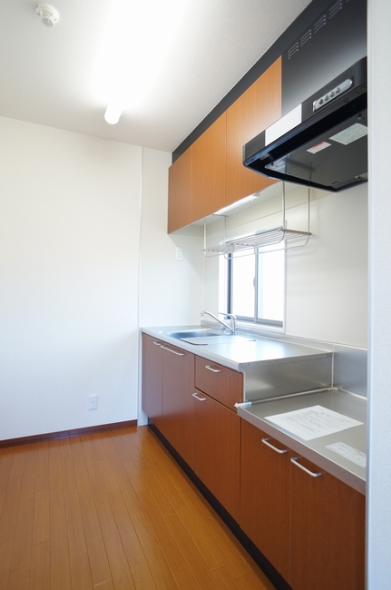 ジュネス壱番館 205号-4