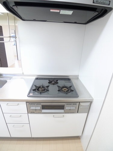 フリーダム樹 201号-8