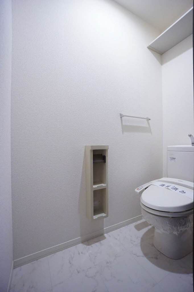 El cielo azul B 102号-5