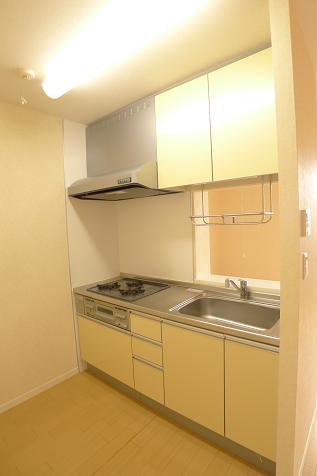 プレミールＤ 202号-5