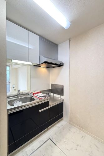 ルミノシーテＤ 103号-7