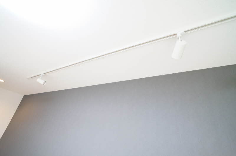 ルミノシーテＤ 201号-11