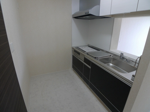 フォルティナート・カーサＤ 202号-3