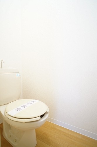 ジャックパレス３番館 202号-9