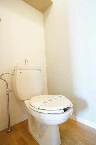 メゾンプルミエ－ル 201号-6