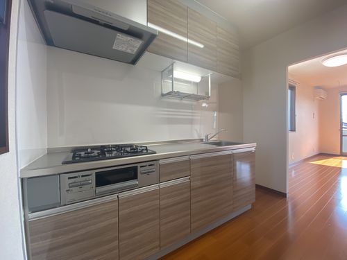 アネックスさつき 202号-4