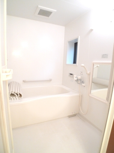 ヴェルドミールＡ 102号-10