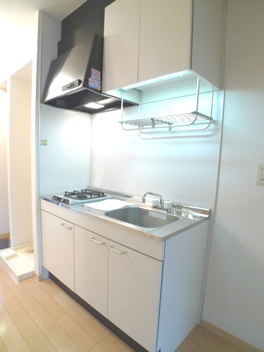 クリーンオオシカ 101号-5