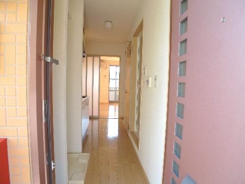 クリーンオオシカ 206号-9