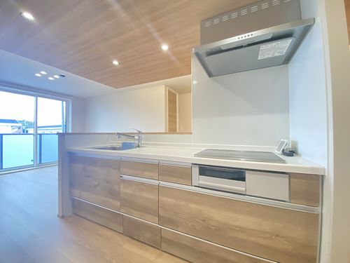 カーサレジーナ 207号-3