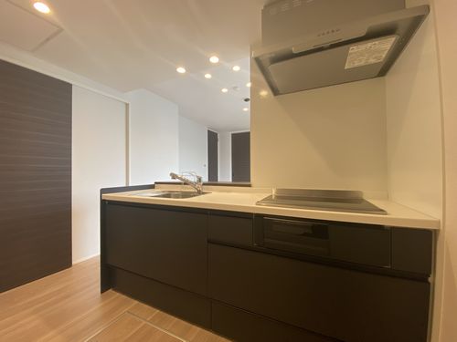 レスタシアⅡ 102号-4