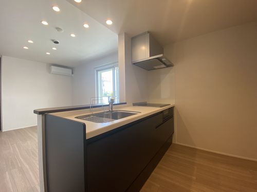 レスタシアⅡ 202号-4