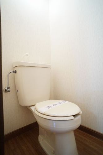 ファミリーハイツB棟 203号-10