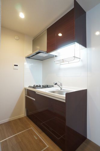 ブエナビスタ　パルケ 101号-6