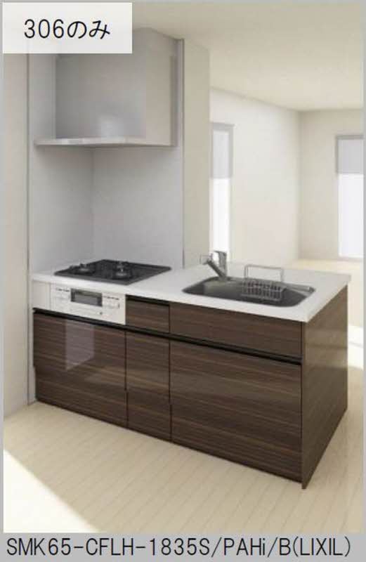 シティホームズⅨ 306号-3