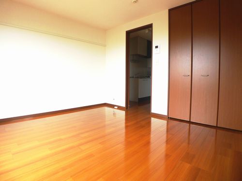 ＤＯＮＪＯＮ　ＣＨＩＢＡ 202号-11