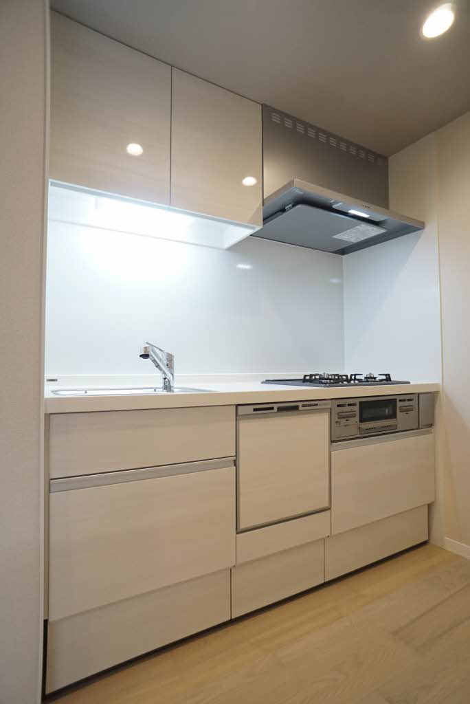 シティホームズⅩⅠ 205号-5