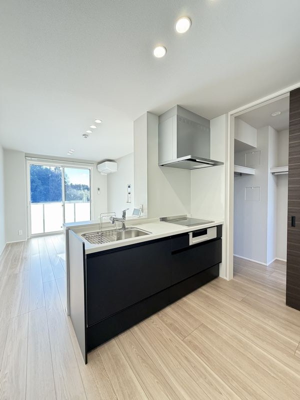 ヴィアソーレ 207号-4