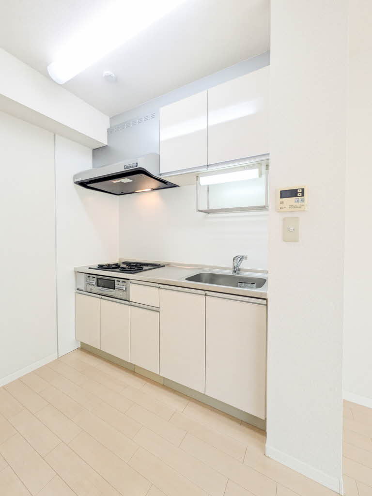 Ｓｈａ　Ｍａｉｓｏｎ　Ⅰ 102号-5