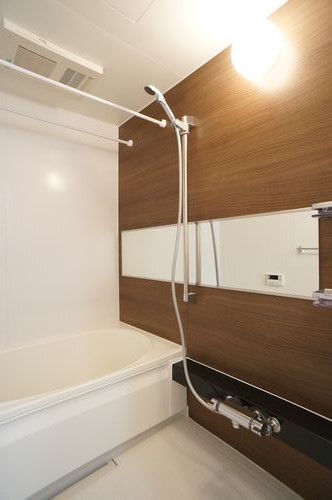 その他画像11