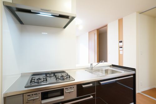 リバティ・ヒルズ 103号-11