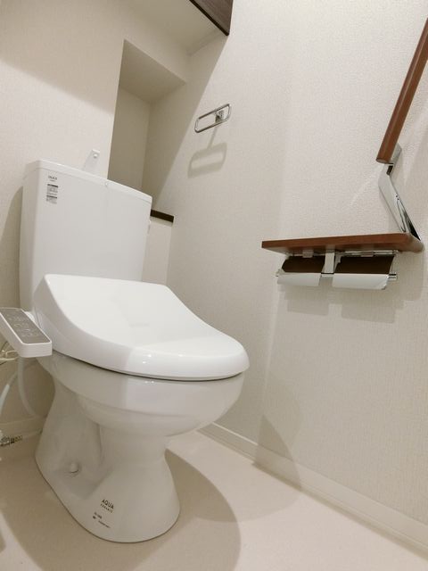 ルミエール駿河台 303号-7