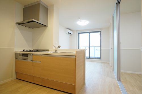 ヴァン・エ・ルミエール 305号-2