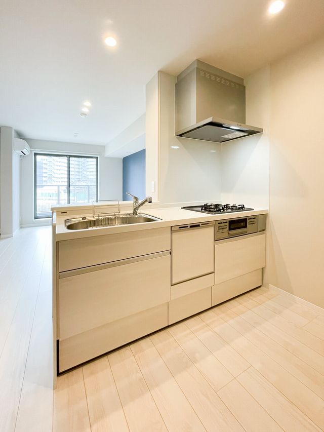 ティエンポ　フェリズ　Ⅰ 207号-4