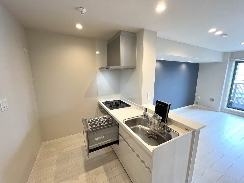 ティエンポ　フェリズ　Ⅰ 306号-4