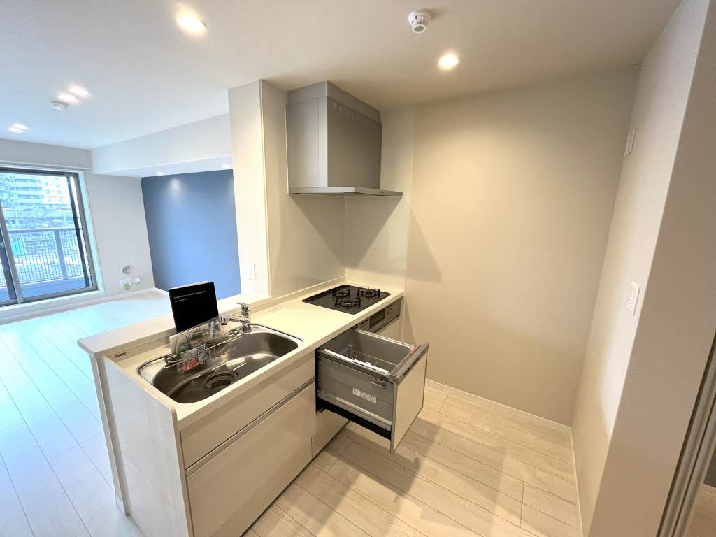 ティエンポ　フェリズ　Ⅰ 307号-4