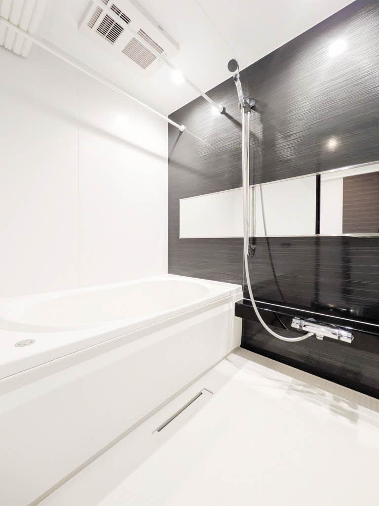 ステラトーン 303号-8