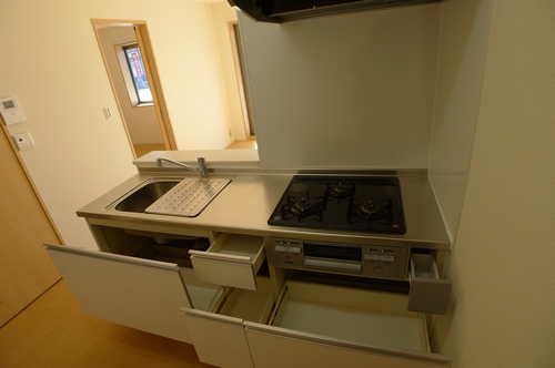 プレミアス 203号-5